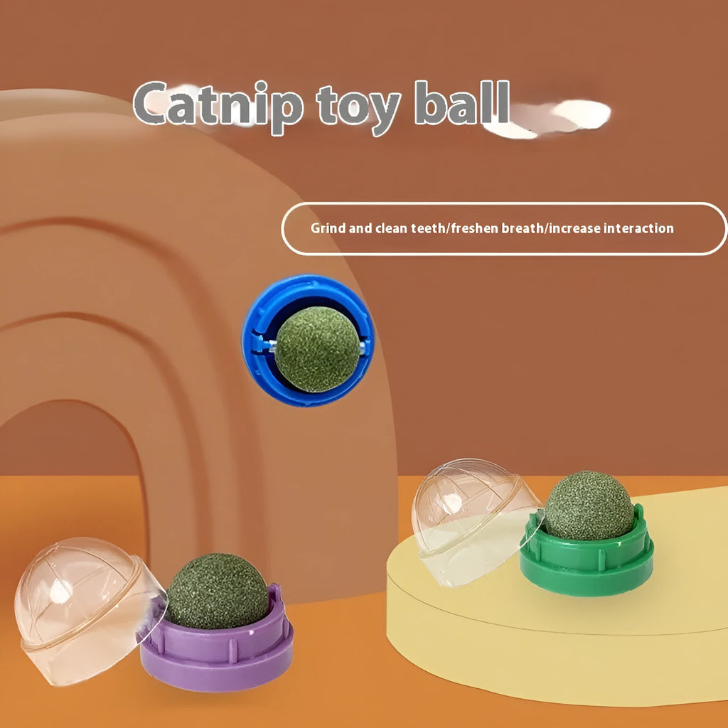 Plastic catnip ball toy in multiple colours with bite-resistant construction for dental care