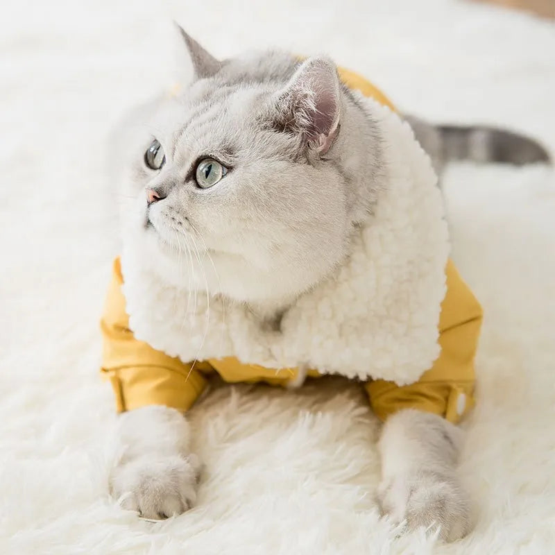 Yellow and light blue denim warm pet coat jacket with lamb velvet lining for dogs and cats