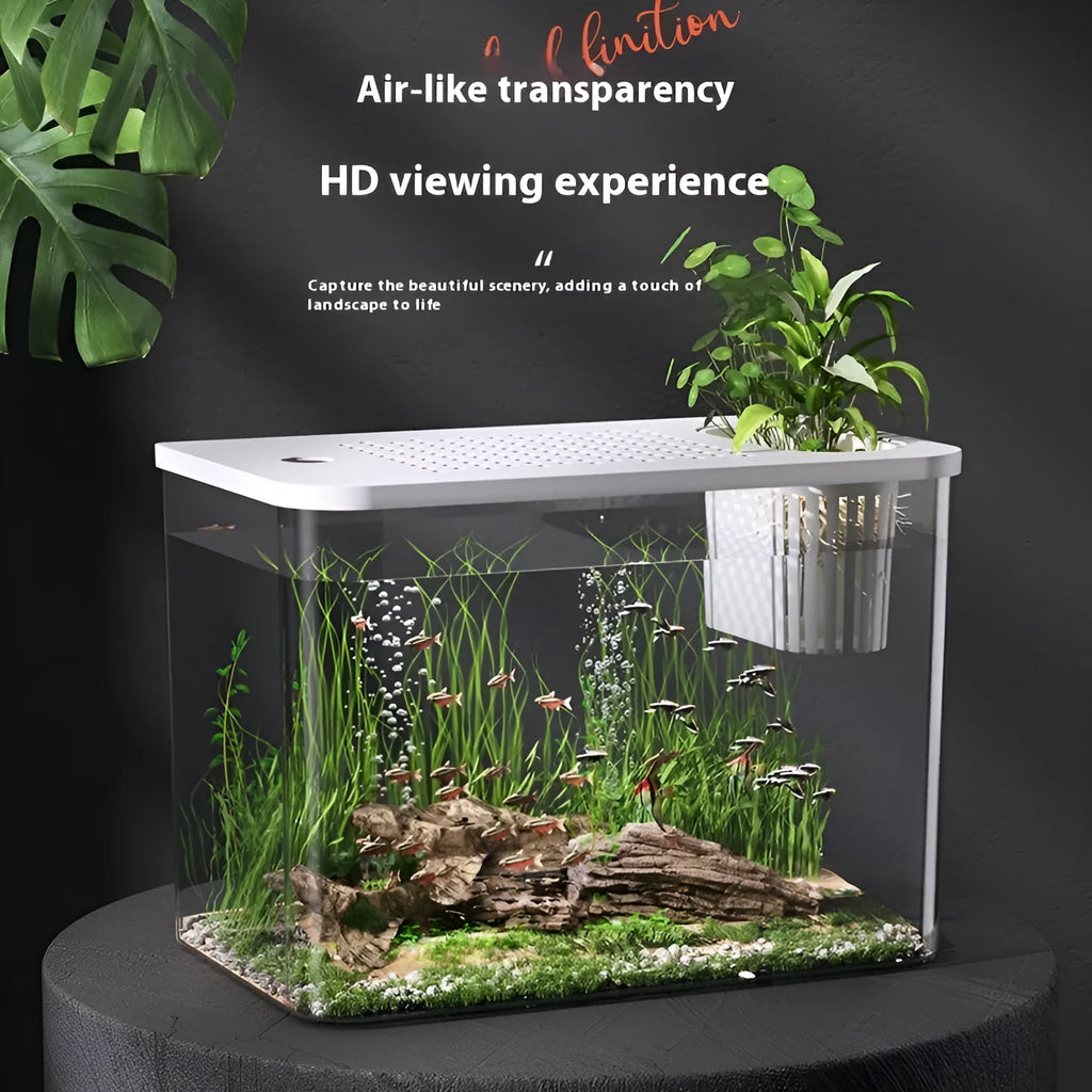 Black and white plastic betta fish tanks with covers, medium size 32cm long mini aquariums.