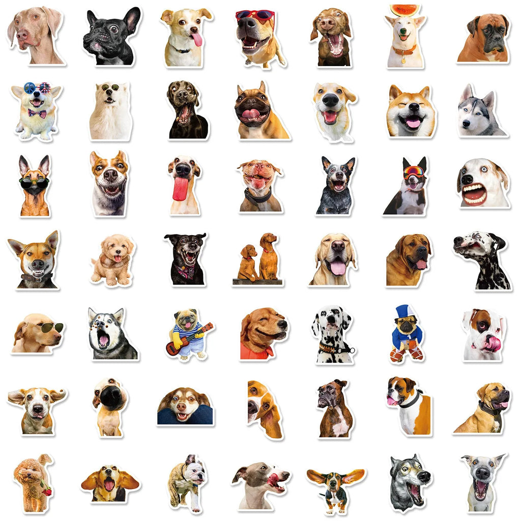 Nordic style realistic dog facial expression stickers pack showing three colour-coded sets with canine designs