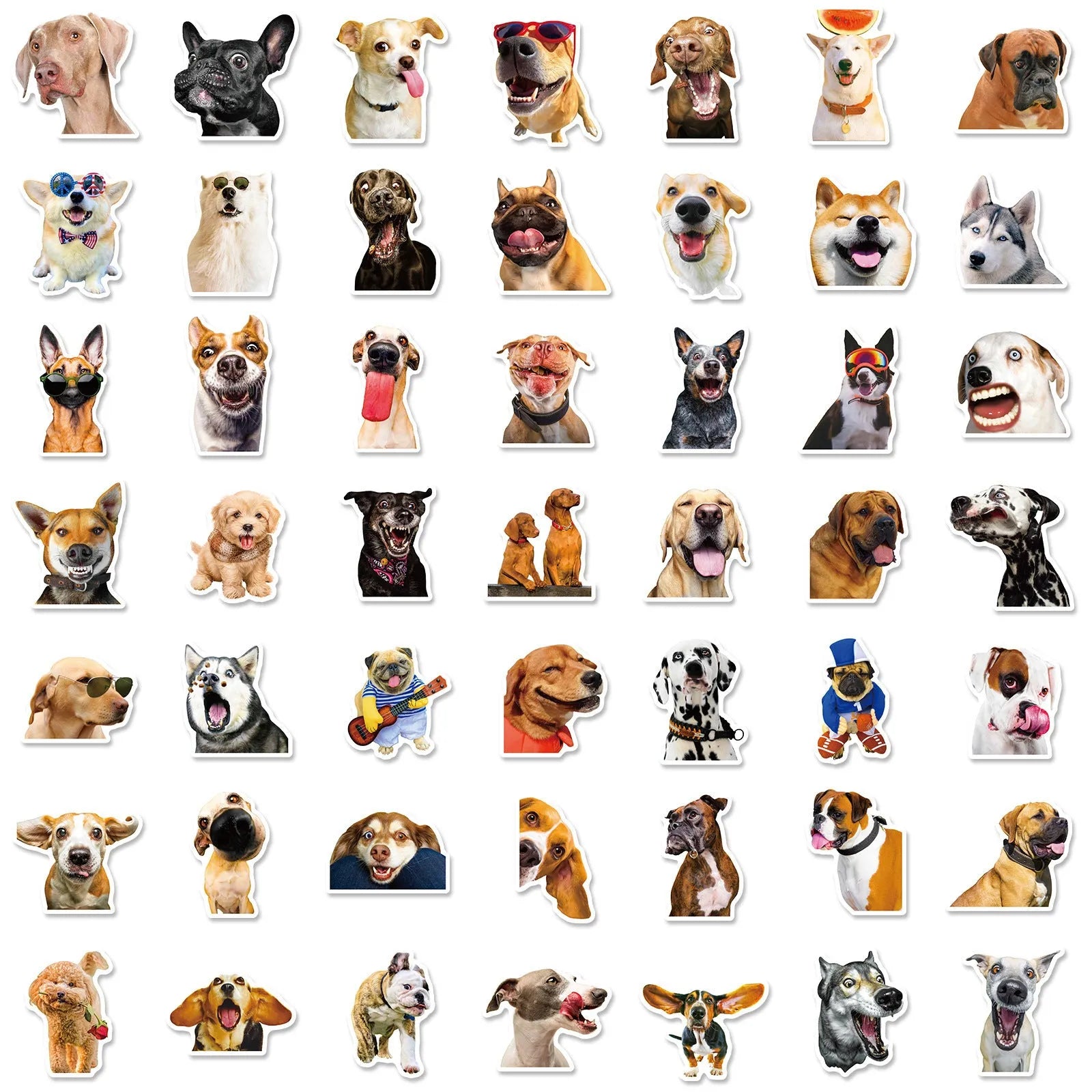 Nordic style realistic dog facial expression stickers pack showing three colour-coded sets with canine designs