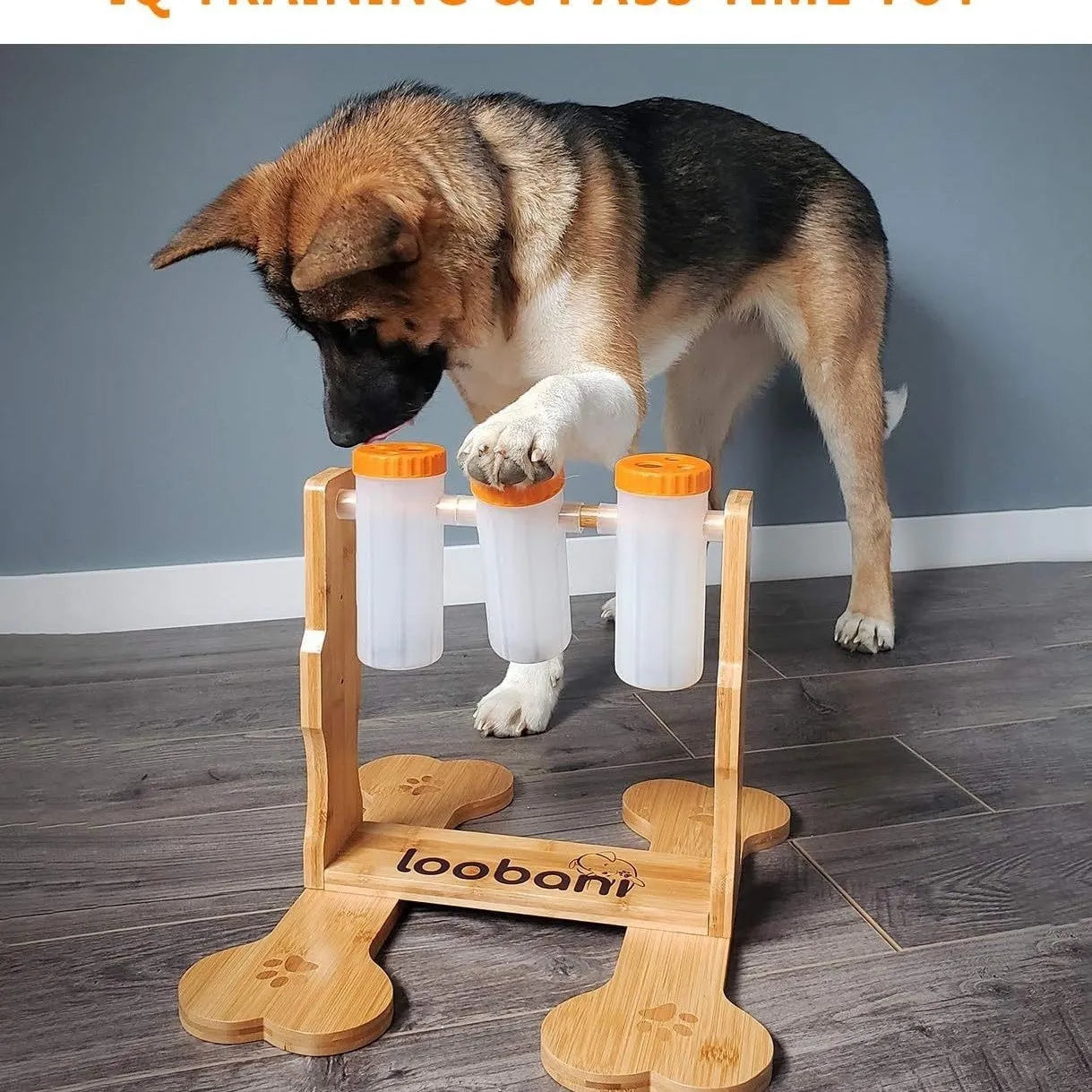 Natural wood colour dog puzzle toy and snack dispenser measuring 31 by 30 by 20 centimetres.