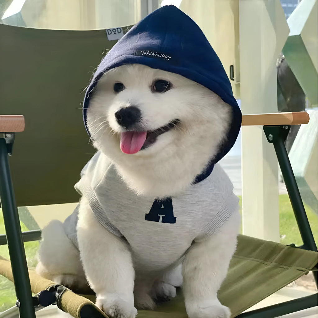 Blue and grey white pet hoodie sweater with reflective letters for cats and dogs in slim-fitting polyester