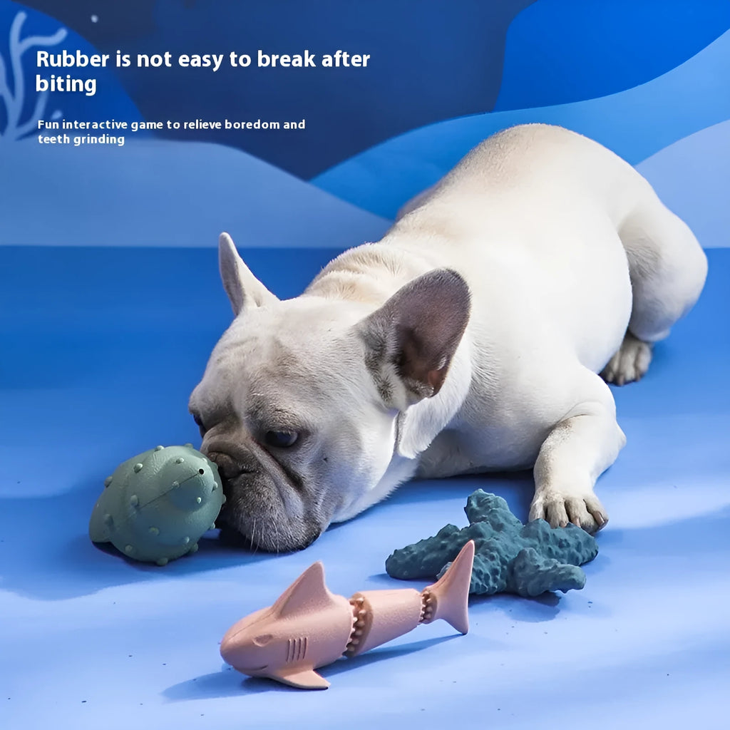 Blue rubber dog toy shaped like a shark conch for food dispensing and chewing.