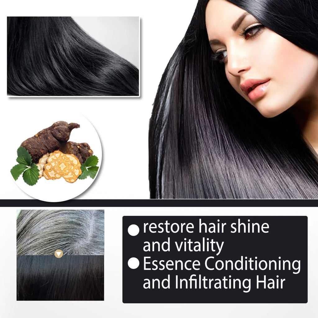 Boxed 100ml bottle of Polygonum Multiflorum Shampoo for black hair colour restoration and scalp care.
