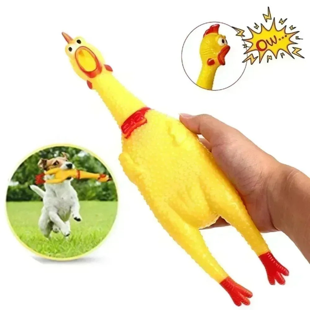 Yellow rubber Screaming Chicken squeaky dog chew toy shown in small, medium, and large sizes.