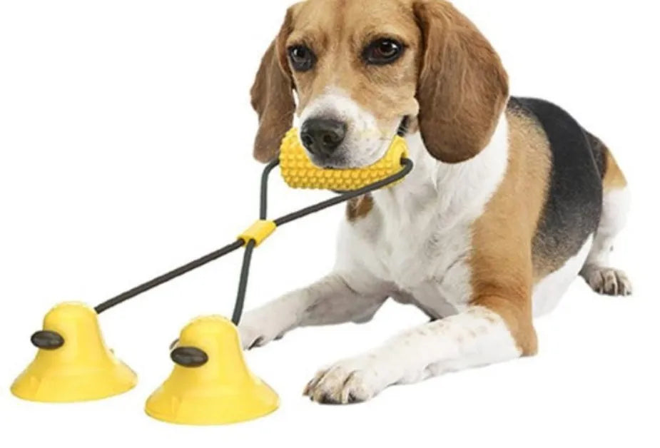 Dog corn molar stick chew toy with suction cup base in plastic, 111x56mm, 120g, green and yellow style