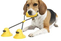 Dog corn molar stick chew toy with suction cup base in plastic, 111x56mm, 120g, green and yellow style
