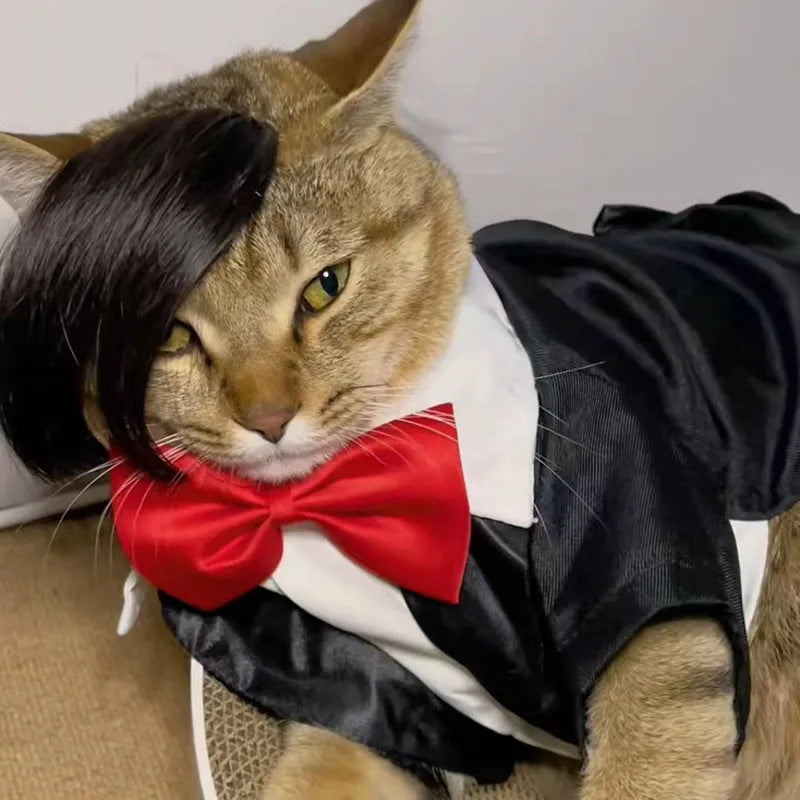Black polyester cat wig with imitation braid styling for pet dress-up costumes