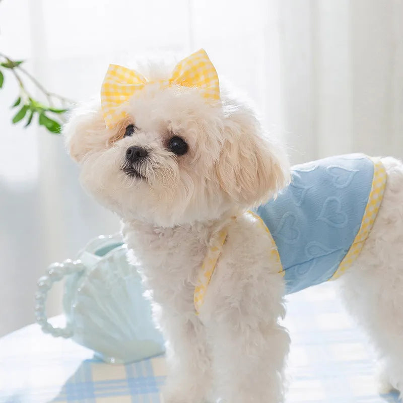 Small dog wearing a blue vest with suspenders and a heart-shaped bow, showing elastic sides.