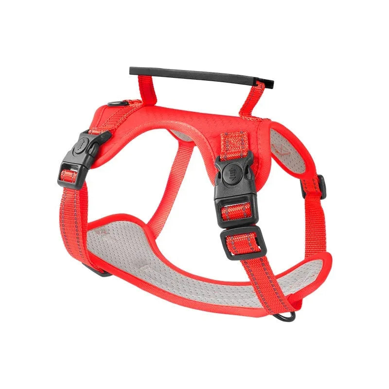 Polyester dog chest harness traction rope in red, shown in a medium size on a dog