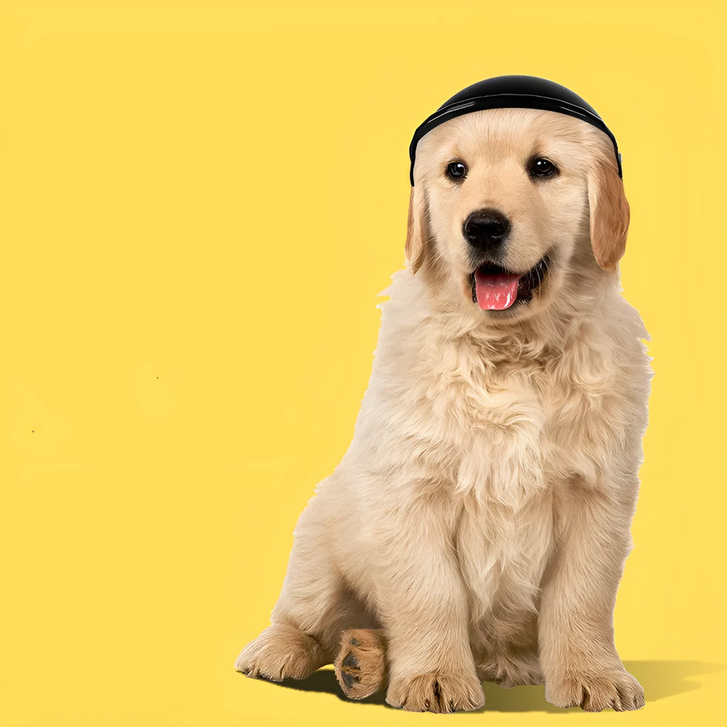 Small S size plastic pet motorcycle helmet in pink, black, yellow, or green for dog safety.