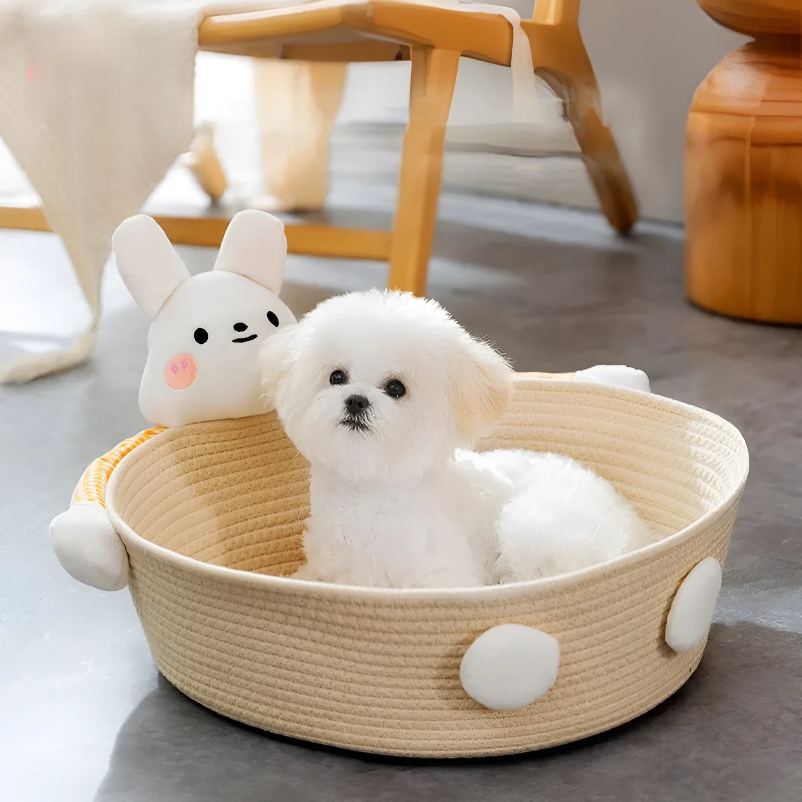 Woven cotton rope cat bed basket with bear pattern, functioning as a pet bed, scratcher, and storage container.