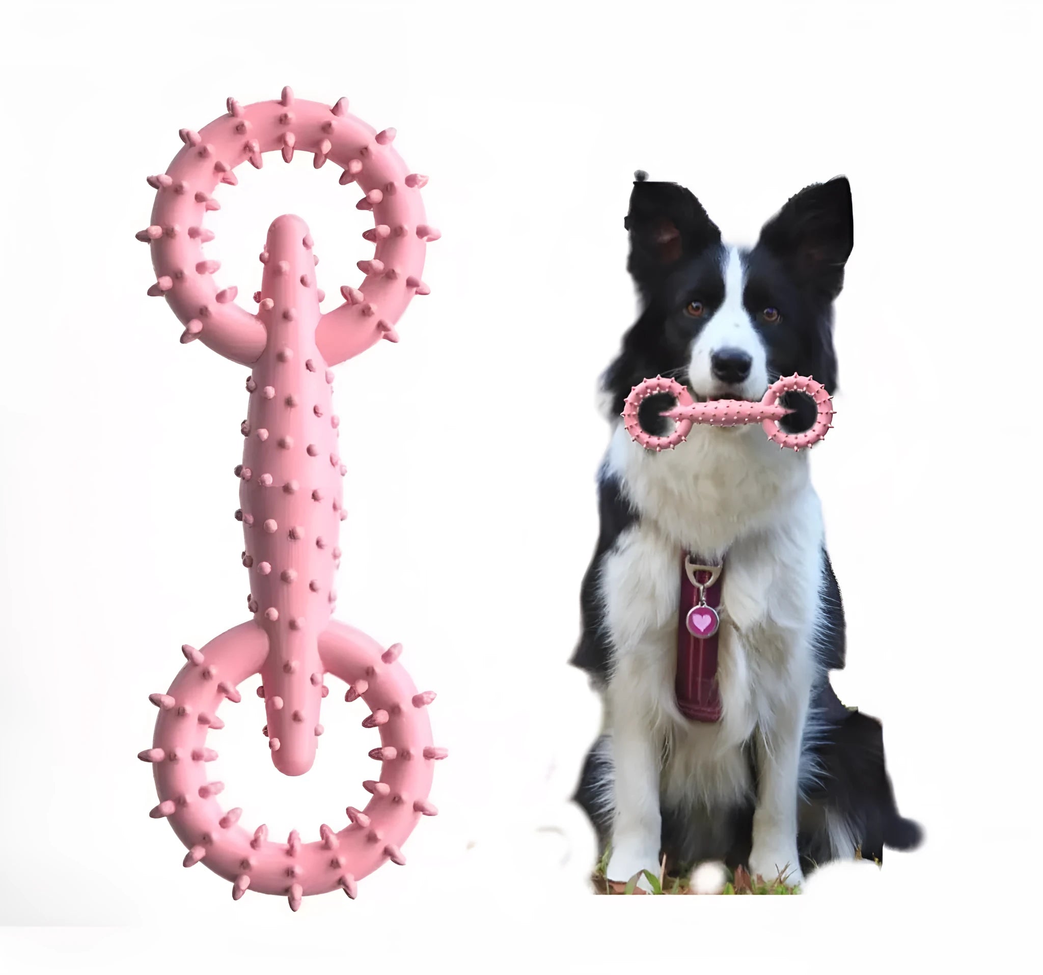 Blue TPR dog chew toy ring measuring 16cm diameter for puppy teething and interactive play