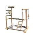 Parrot toy stand with pepper wood pole, a colourful bird swing, and a platform for cage enrichment.