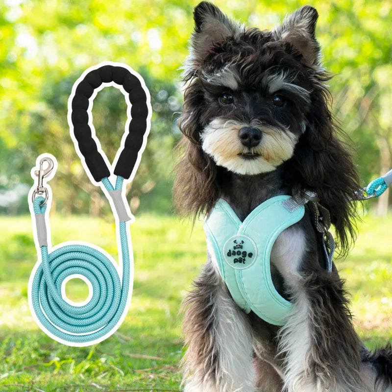 Polyester dog vest and matching hand holding rope in a choice of blue, green, pink, or yellow.
