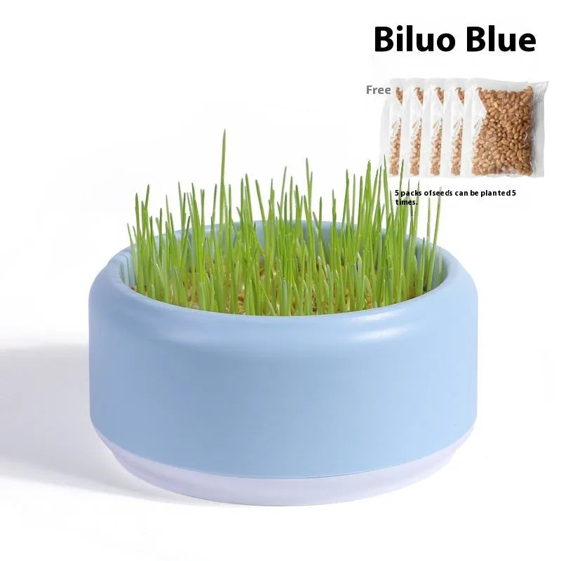 Hydroponic cat grass growing kit with reusable cup and seed packs in blue, green, yellow colours