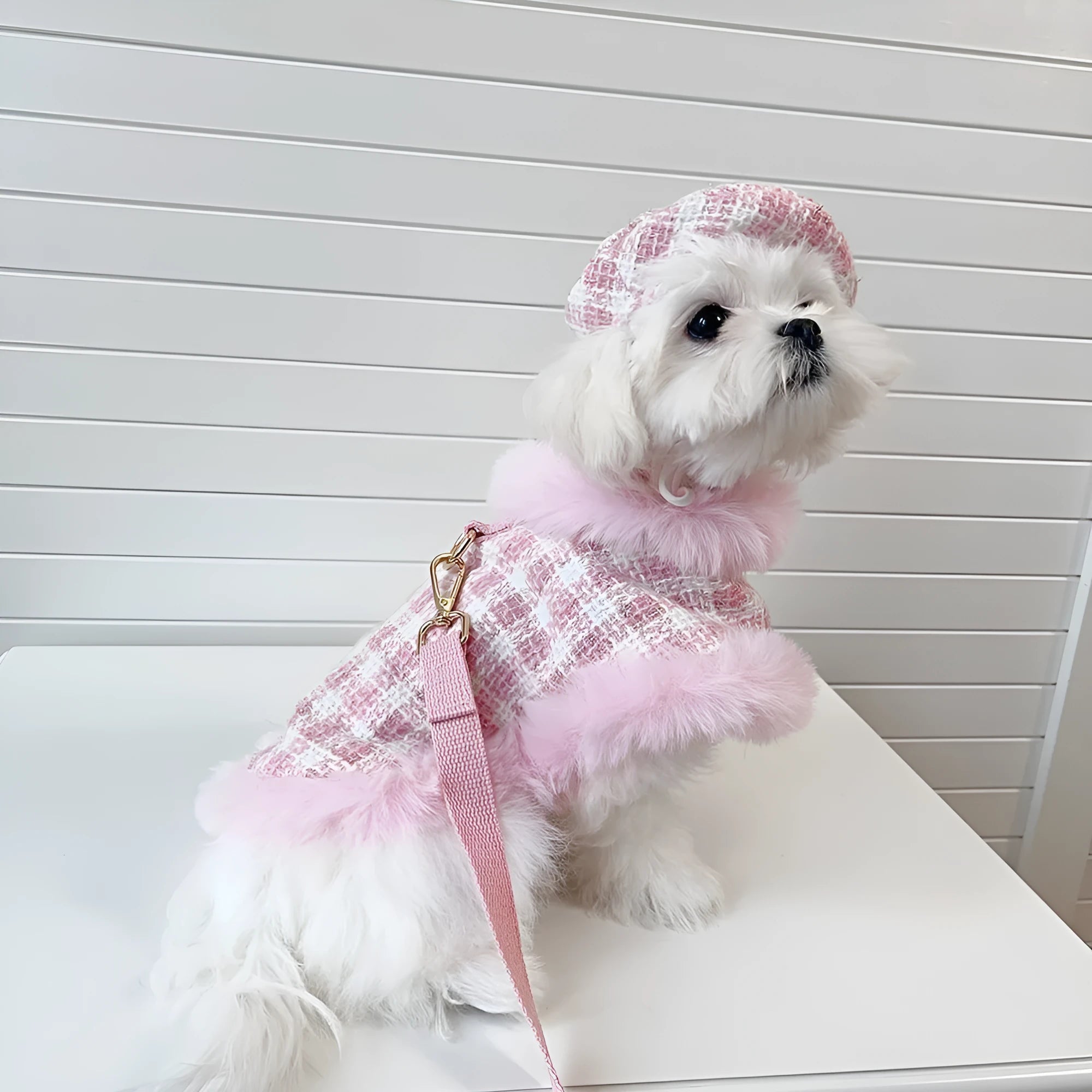 Pink cat cape and beret set with hand holding rope for chest and back coverage
