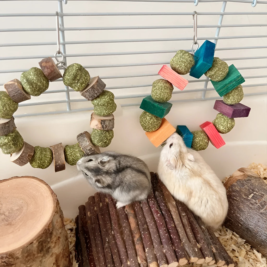 Hamster chew toy with a straw ball ring and natural applewood molar rod on a white background.