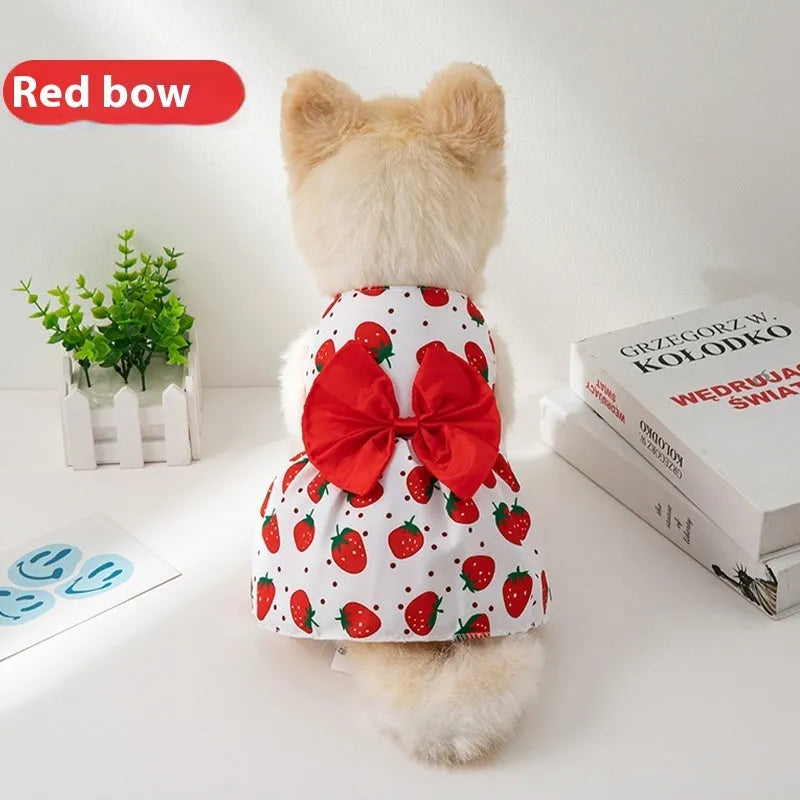 Orange bow floral butterfly knot ultra-thin polyester dress on a small dog.