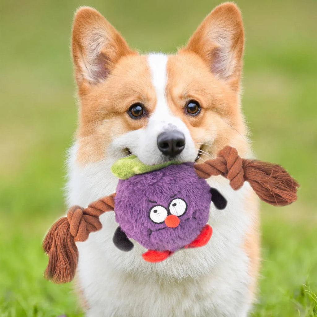 Green and purple plush rope knot dog toy with squeaker for tug of war and chewing.
