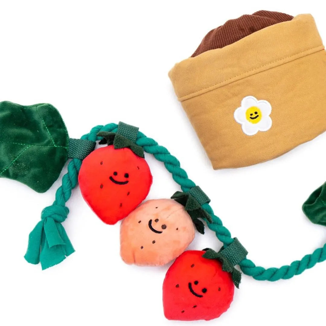 Tibetan food toy strawberry potted plant plush hide-and-seek dog pull toy in photo colour