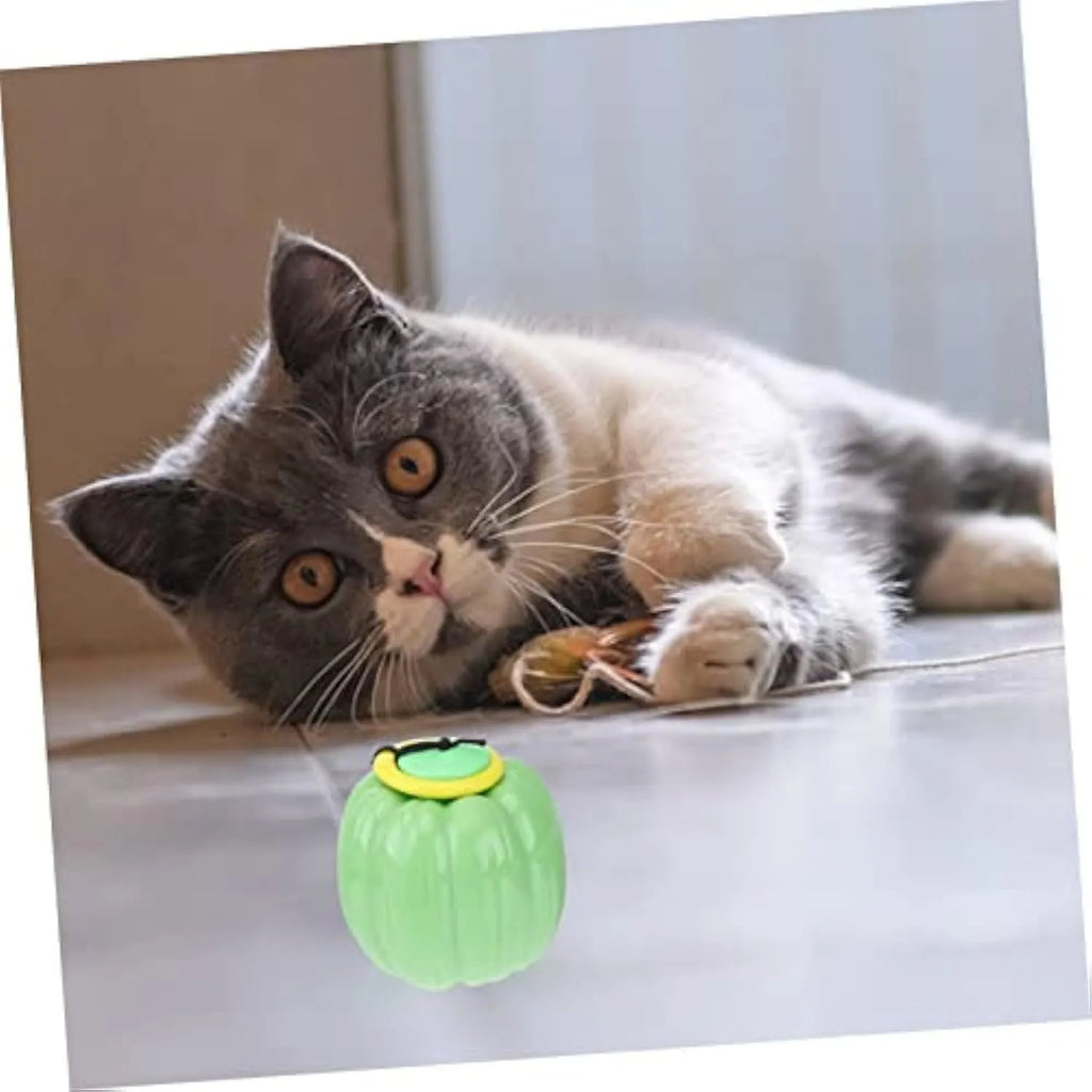 Green, orange, and yellow plastic pumpkin-shaped squeaky dog ball toy for small breeds.
