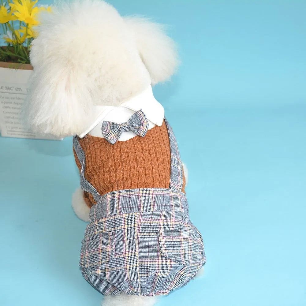 Orange and dark blue cotton dog shirt for small dogs, shown in sizes S to 2XL.