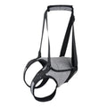 Neoprene dog rear leg auxiliary belt with adjustable waist and thigh straps in grey