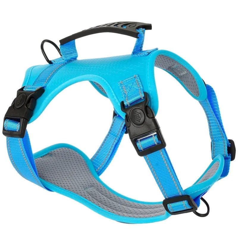 Polyester dog chest harness traction rope in red, shown in a medium size on a dog