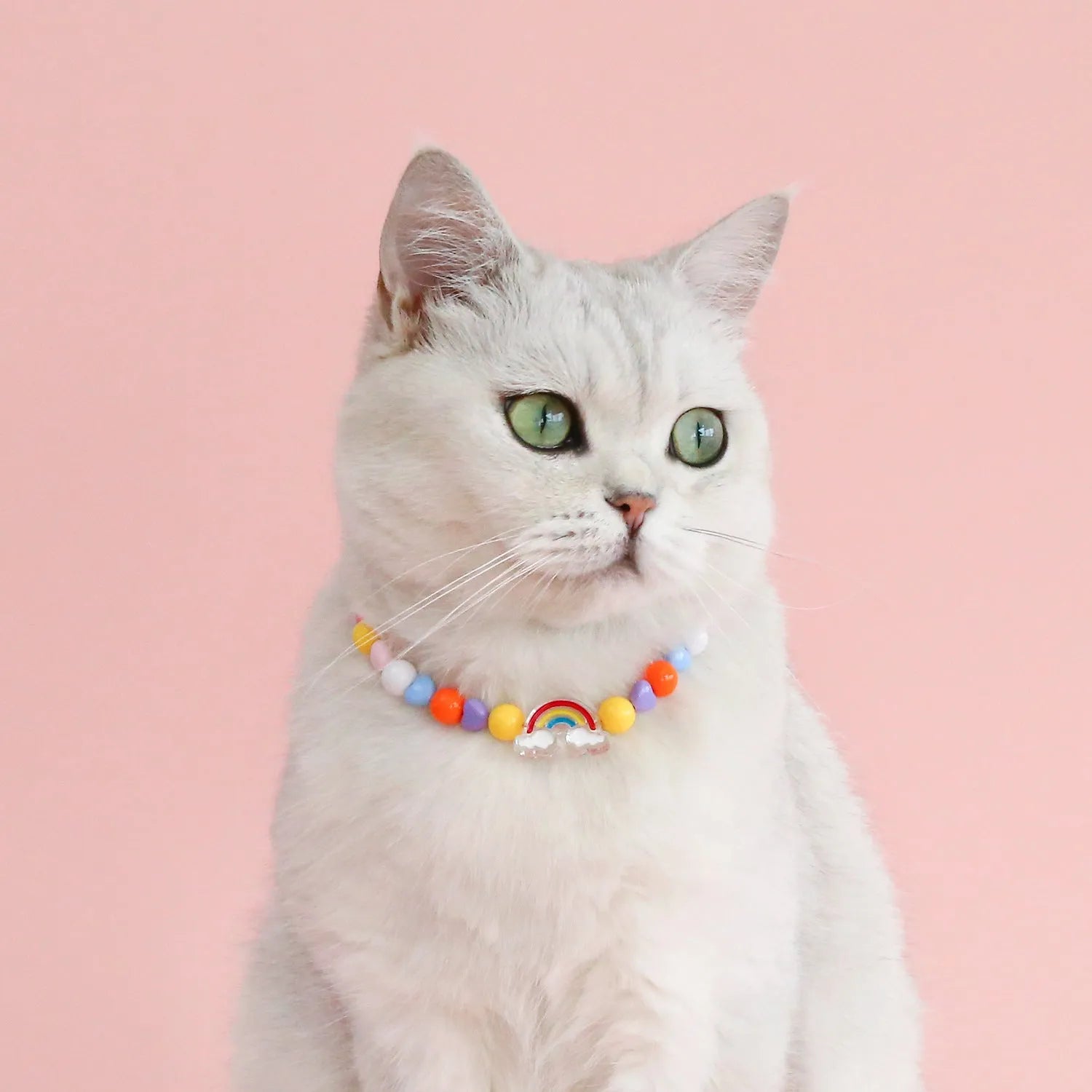 Colourful plastic pearl pet necklace with small flower, rainbow, or peach bead designs for cats