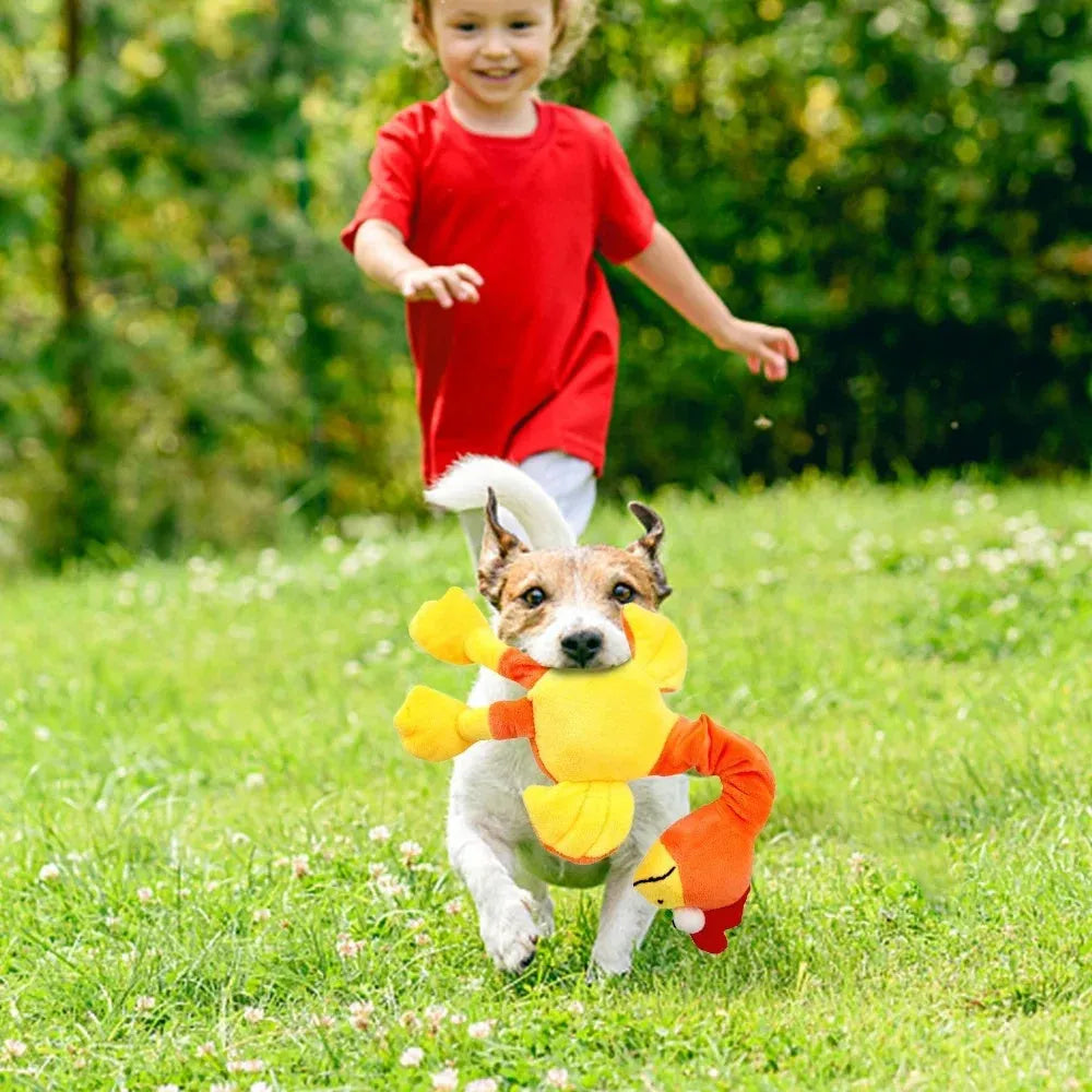 TPR rubber dog toy shaped like a chicken with black, green, and orange colour options.