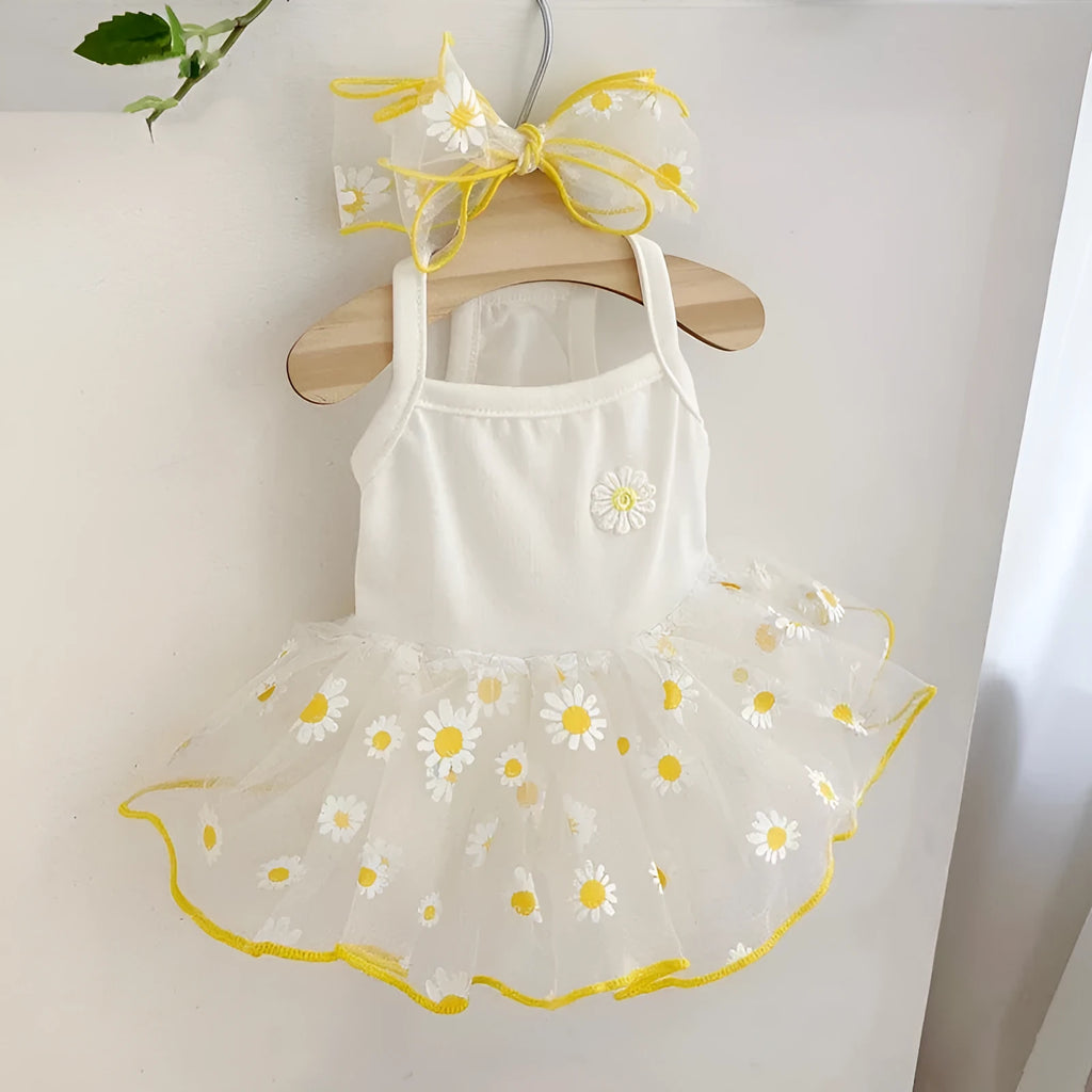 Yellow little daisy print thin polyester dog clothes on a model dog, sizes XS to XL.
