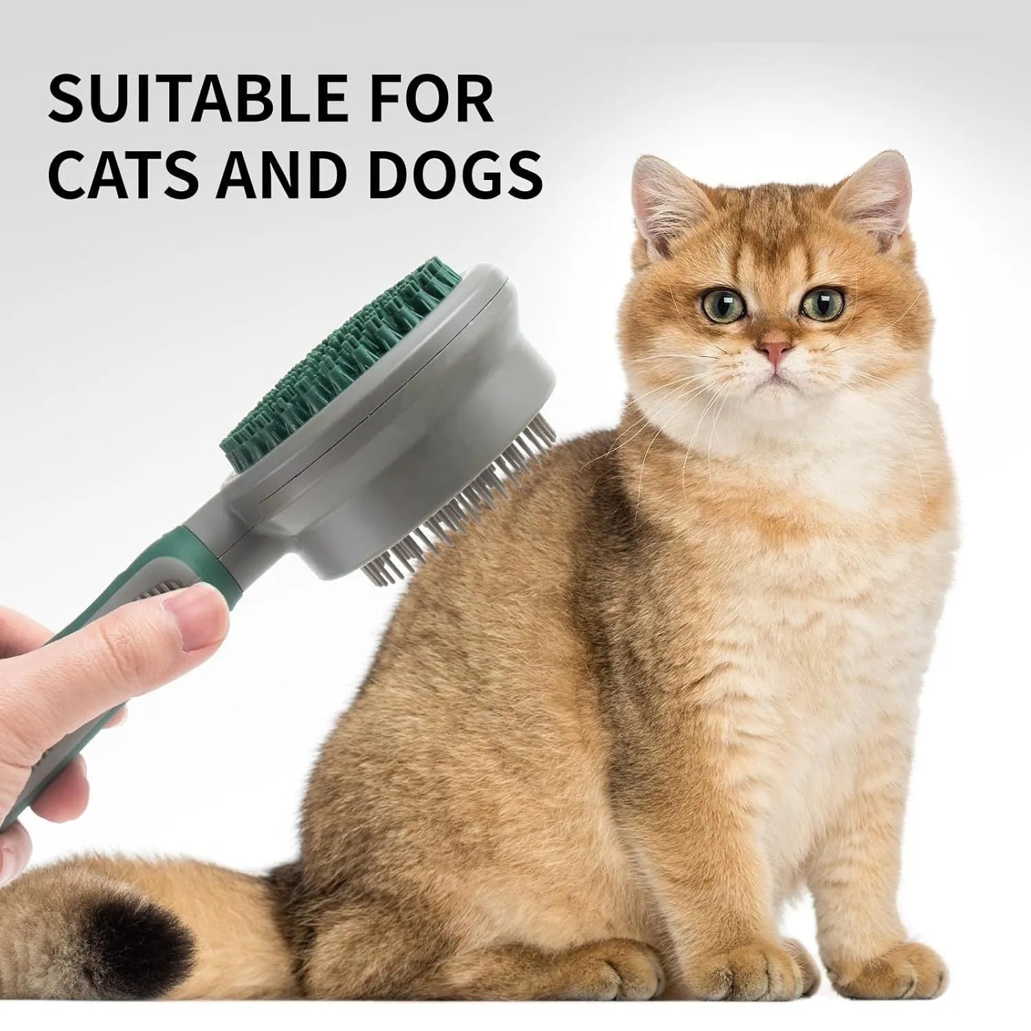 Green and pink 2-in-1 silicone pet grooming brush showing slicker brush side and massage side