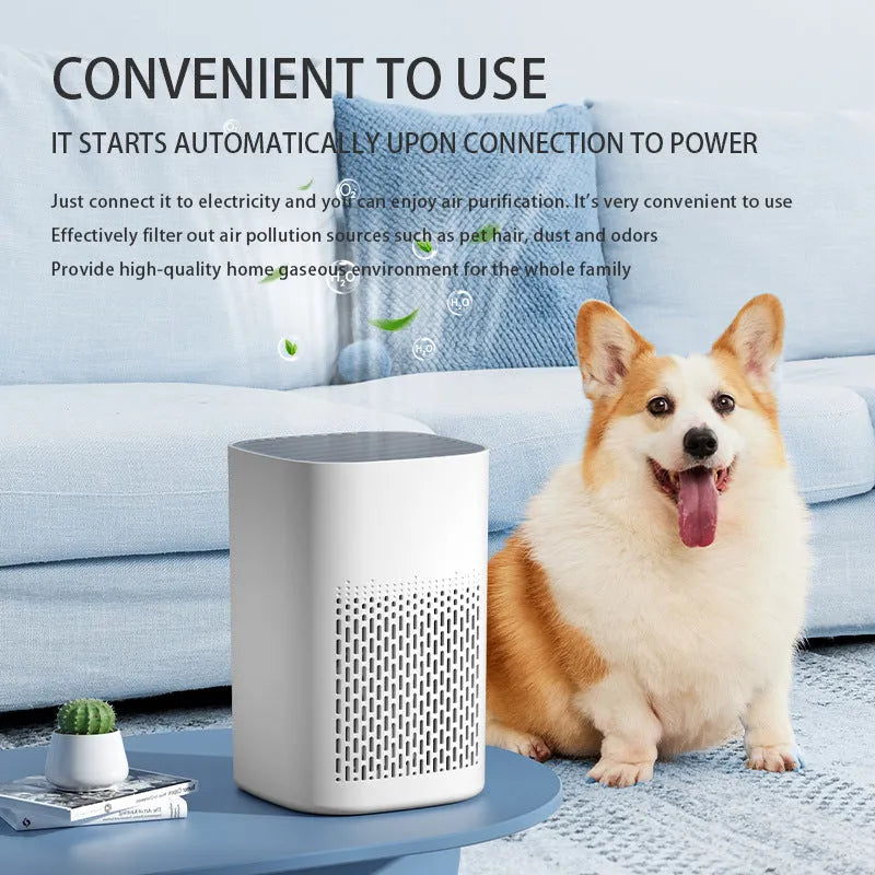 Desktop air purifier with simple design showing USB power connection