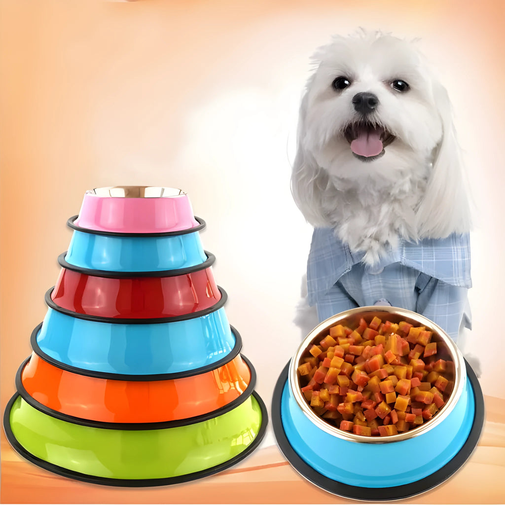 Stainless steel and colourful melamine pet bowl with a non-slip rubber base.