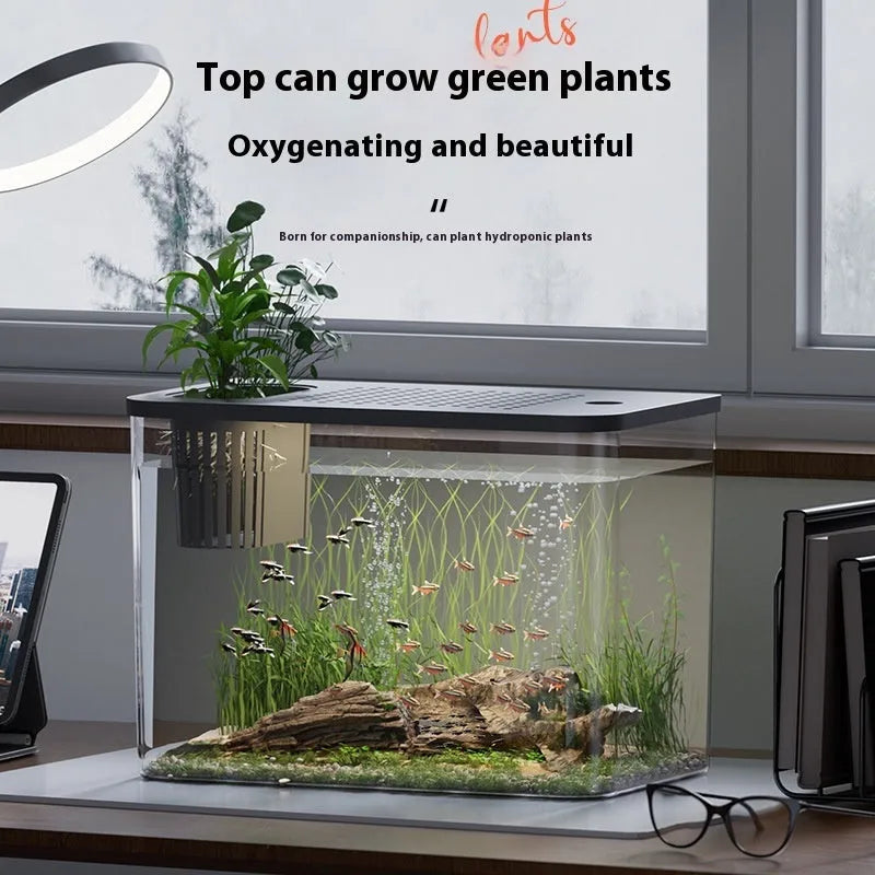 Black and white plastic betta fish tanks with covers, medium size 32cm long mini aquariums.
