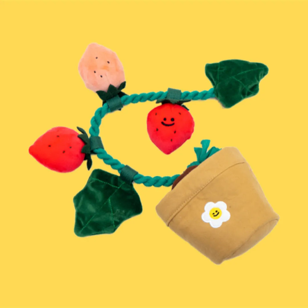 Tibetan food toy strawberry potted plant plush hide-and-seek dog pull toy in photo colour