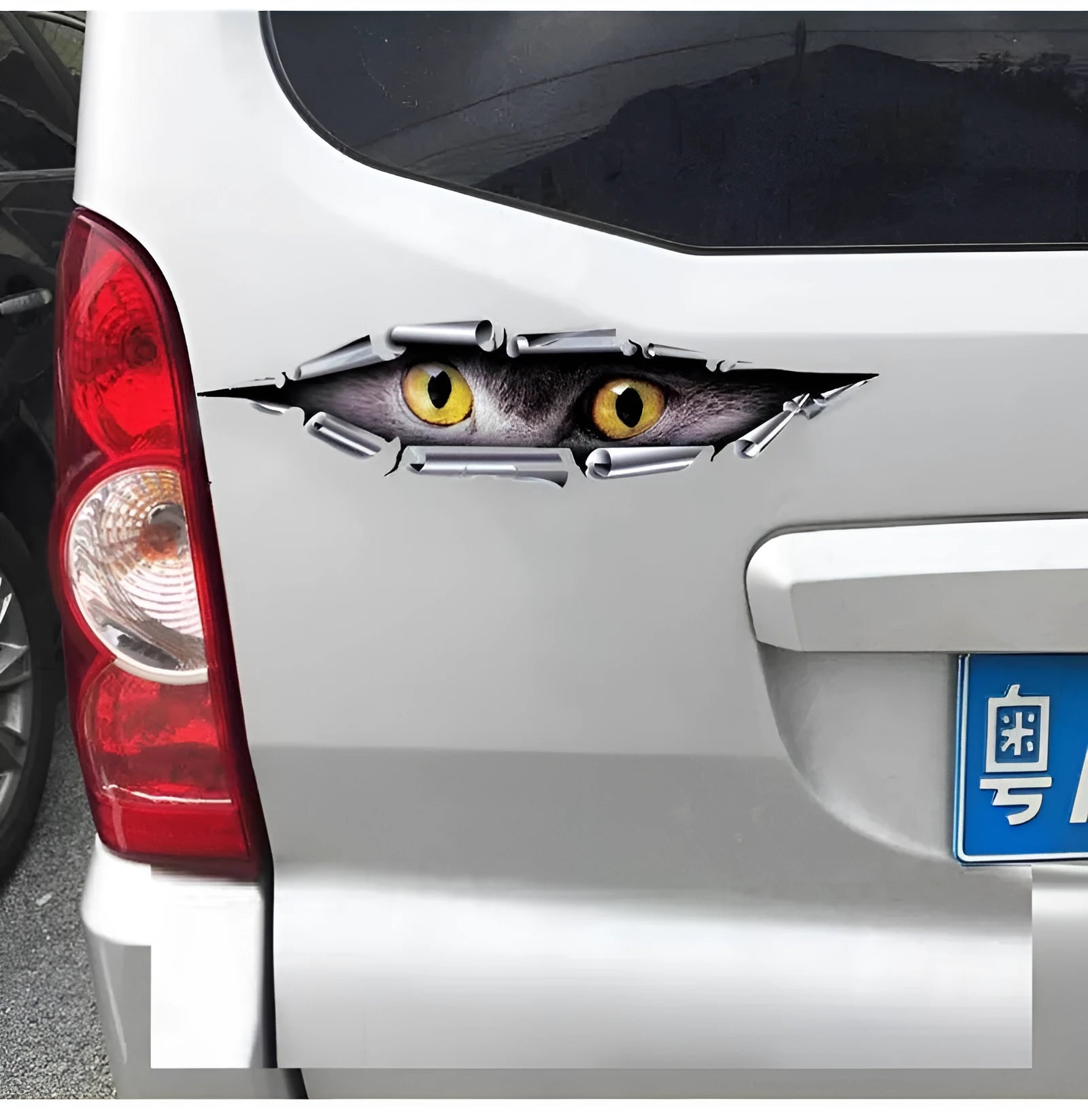 3D Tiger Eye and Eagle Eye car door decorative sticker on white background.