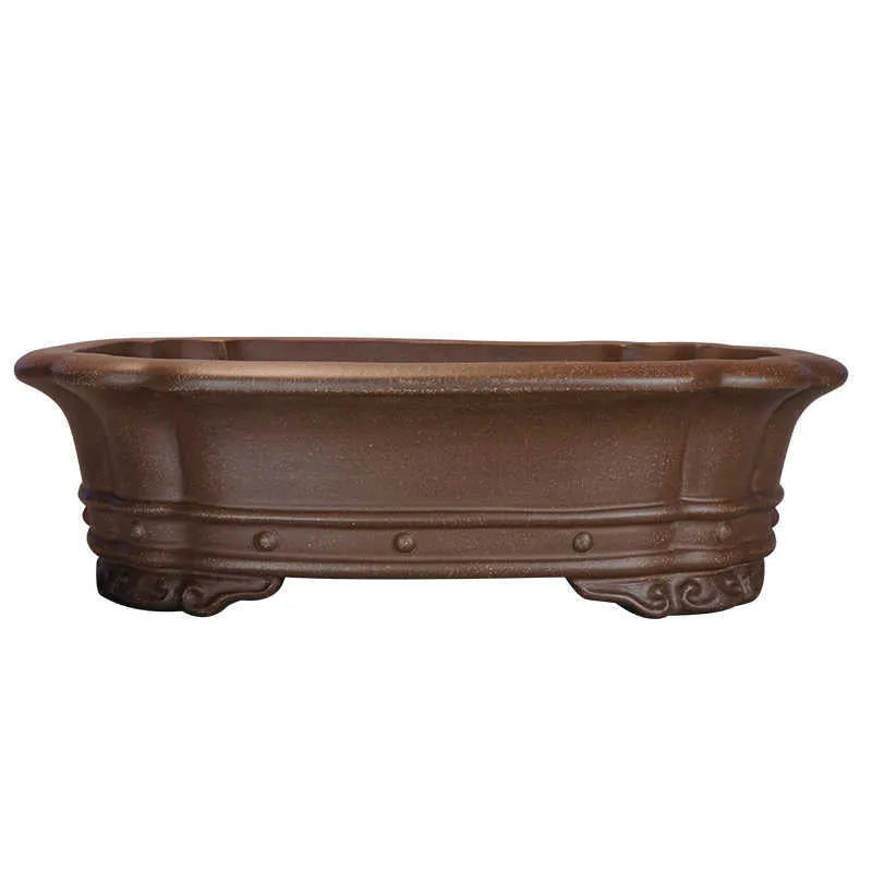 Purple clay rectangular begonia shaped flower pot 51x41cm on desktop with green plants