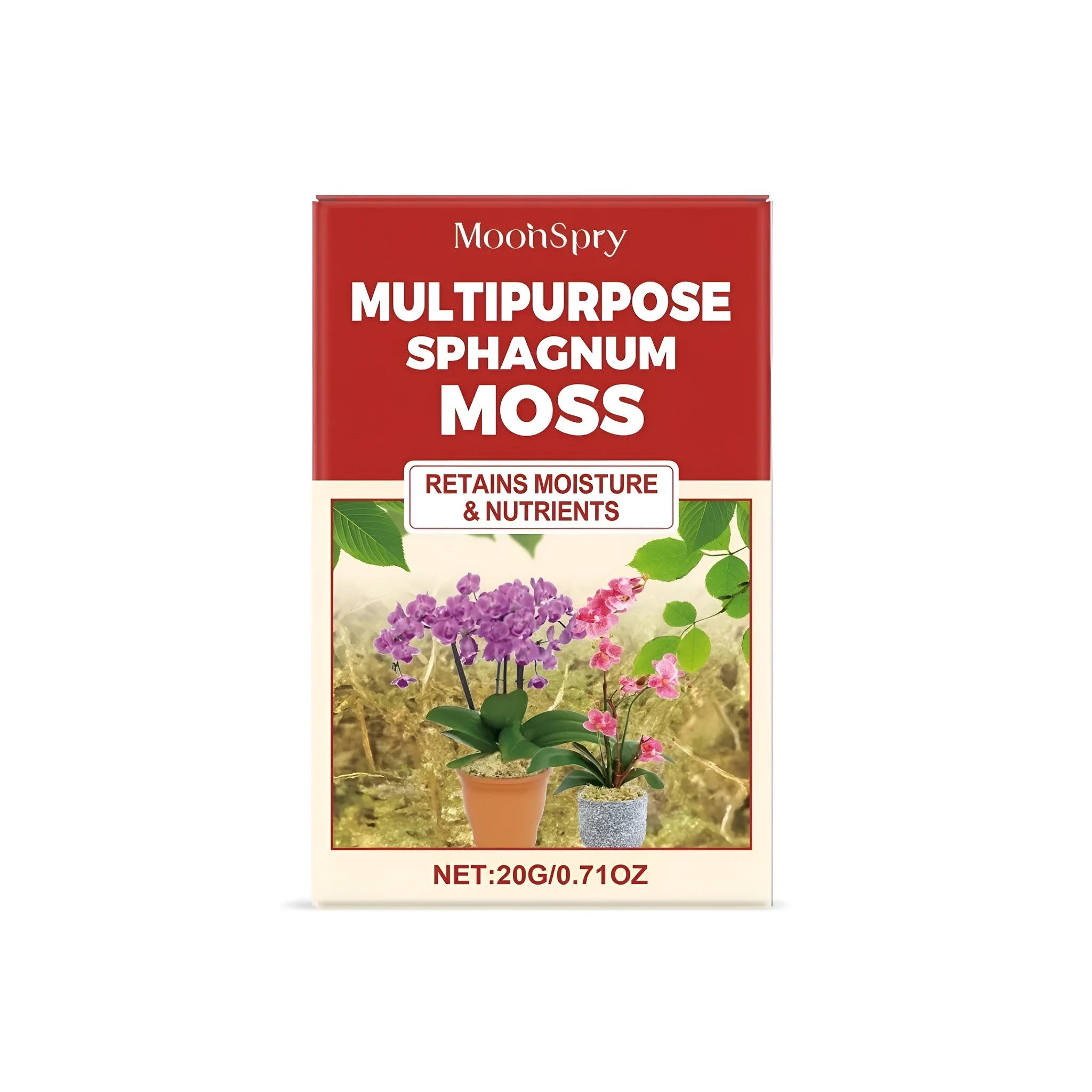 20g pack of dried sphagnum moss for terrarium and vivarium substrate