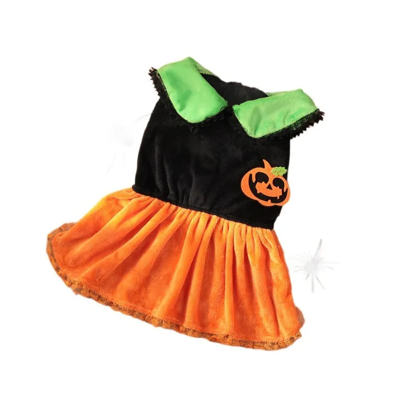 Halloween pet costume with pumpkin skirt and sweater designs in crystal velvet material