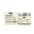 White tube of Gentle Soothing Care Cream, 60g, with mint leaf and centella botanical design.
