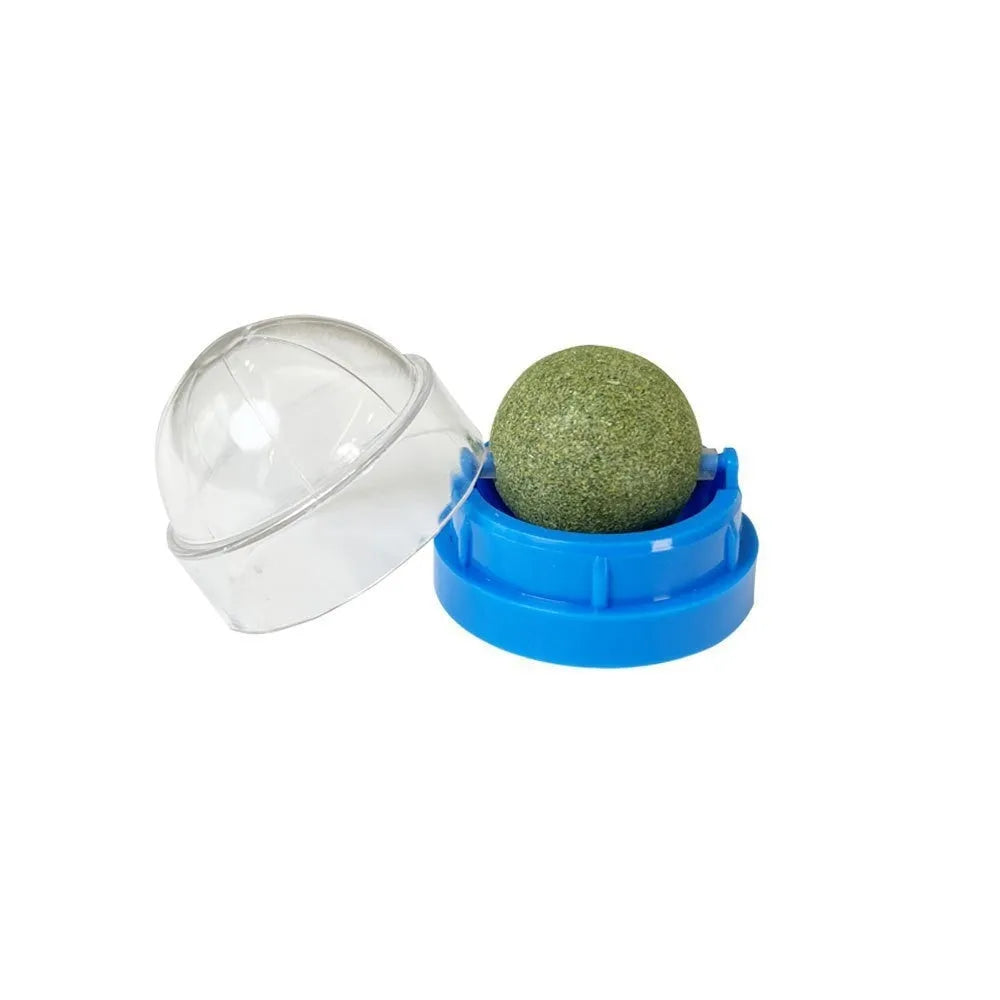 Plastic catnip ball toy in multiple colours with bite-resistant construction for dental care