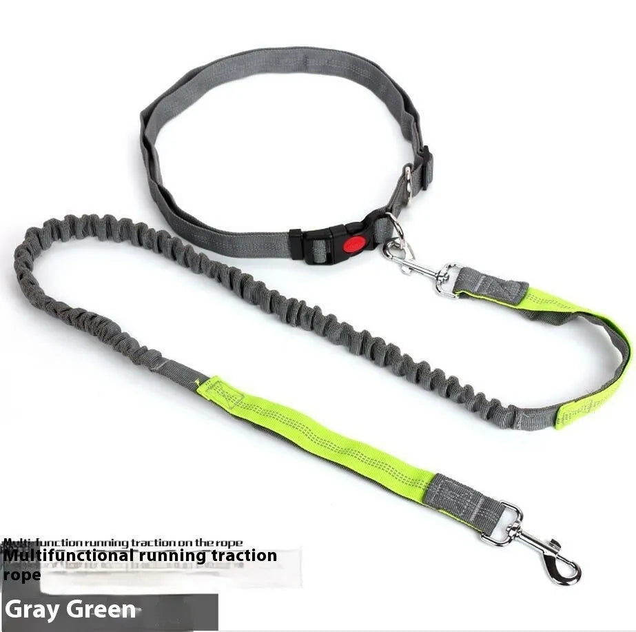 Grey and green two-tone reflective elastic dog leash held in a hand, showing its 2.5cm width.