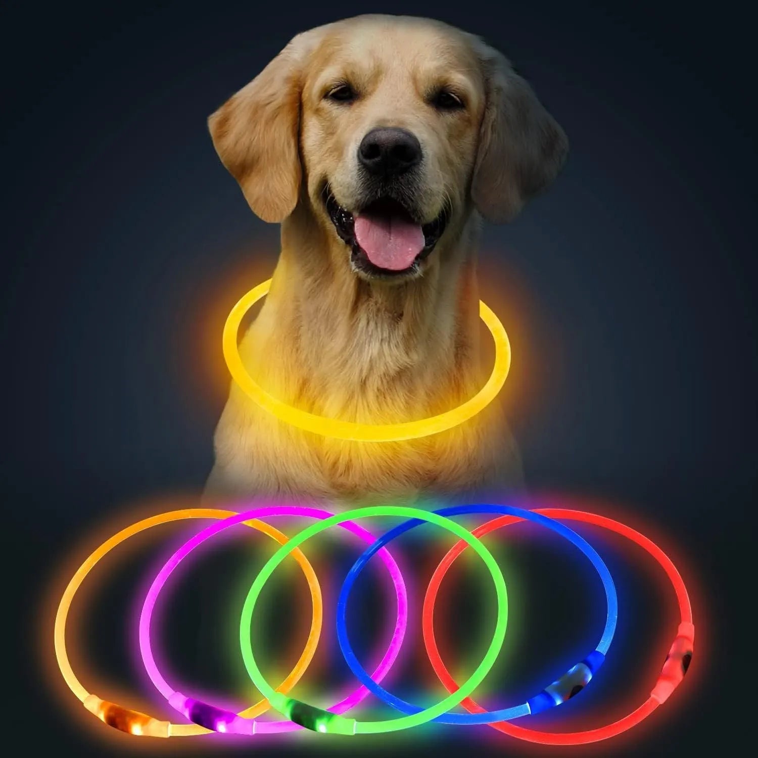 USB rechargeable LED dog collar glowing in dark with adjustable 70cm length