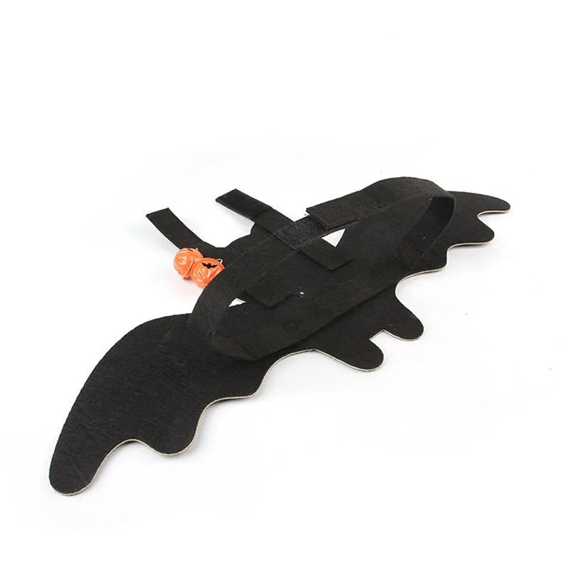 Black cat wearing an orange felt batwing Halloween costume with bell attachment.