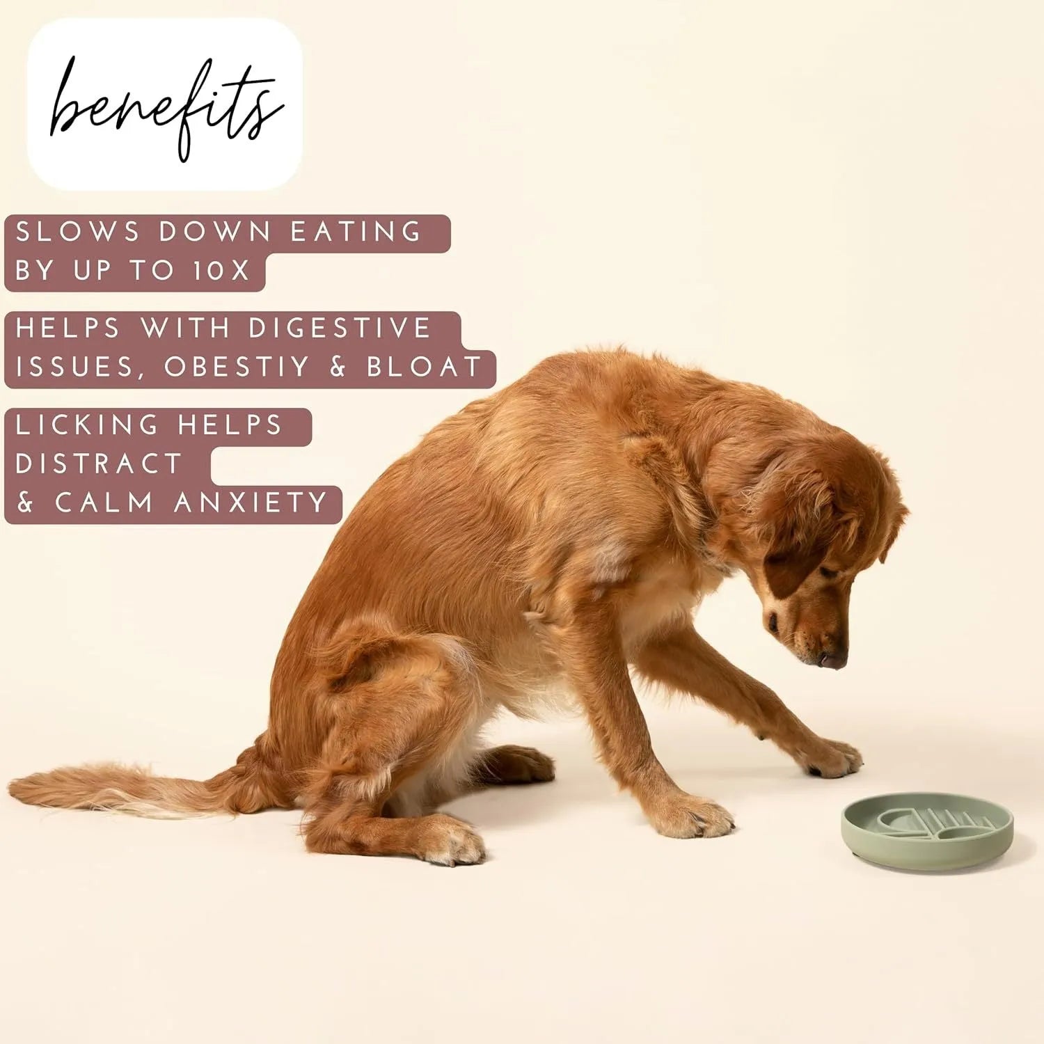 Slowdown Bowl silicone dog slow feeder with ridges, shown in beige colour.