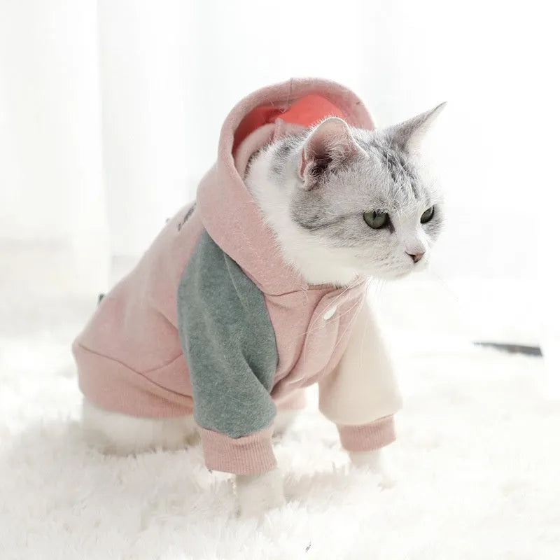 Brown cotton pet sweatshirt on dog showing size fit and casual design