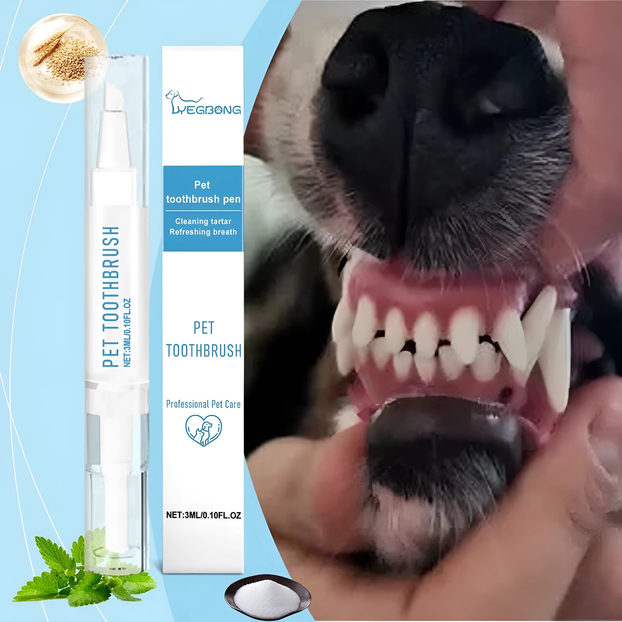 Pet toothbrush pen with soft silicone bristles for dental care of dogs and cats